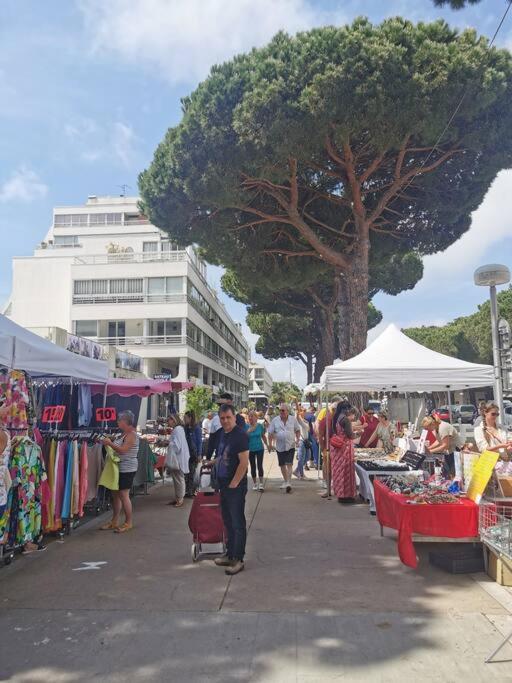 De 50m2 A 2 Pas Du Port Et Plage! La Grande-Motte