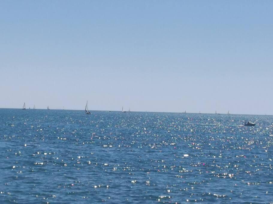 Rénové 50m2 à 2 Pas Du Port Et Plage! Appartement *