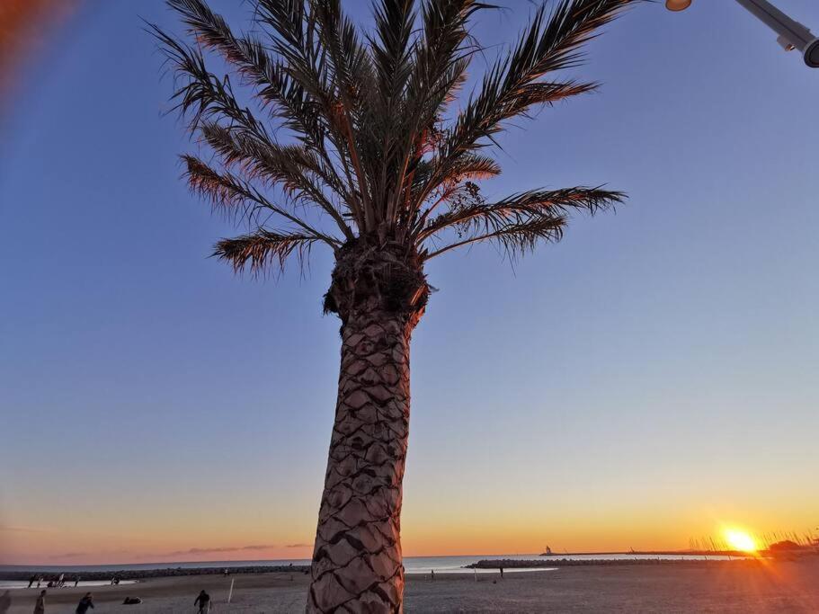 Rénové 50m2 à 2 Pas Du Port Et Plage! *